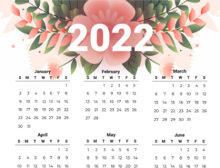 Free printable calendar 2022 from Sunday (preview)