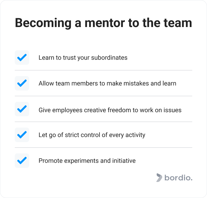Becoming a mentor to the team