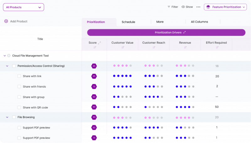 Chisel Software for Project managers